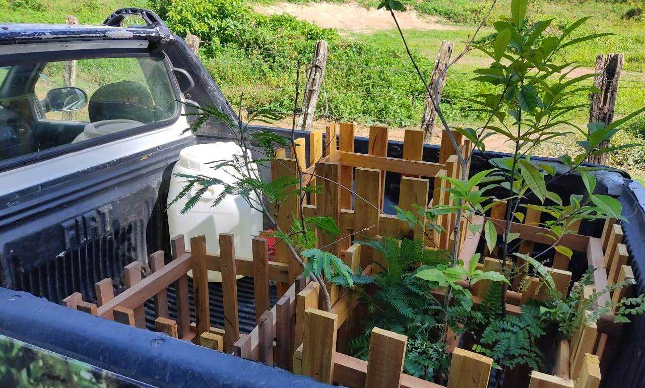 Camacã: Secretaria de Agricultura e Meio Ambiente em parceria com o Lions Clube e Maçonaria, realizam plantio de árvores e homenageia o empresário Eds